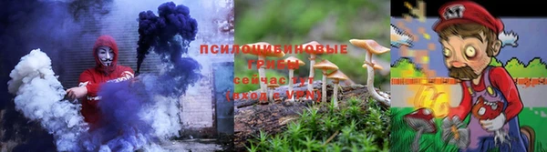 прущие грибы Алексеевка