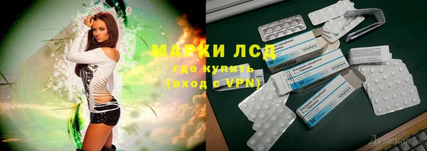 прущие грибы Алексеевка