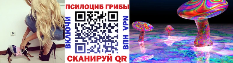 где купить наркотик  Вихоревка  Псилоцибиновые грибы мухоморы 